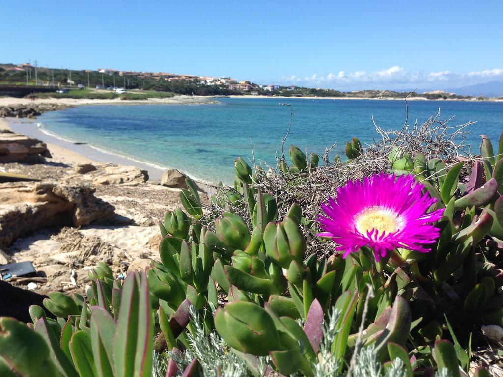 Da Patrizia Hotel Santa Teresa Gallura Eksteriør billede