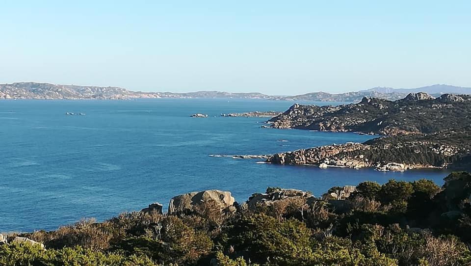 Da Patrizia Hotel Santa Teresa Gallura Eksteriør billede